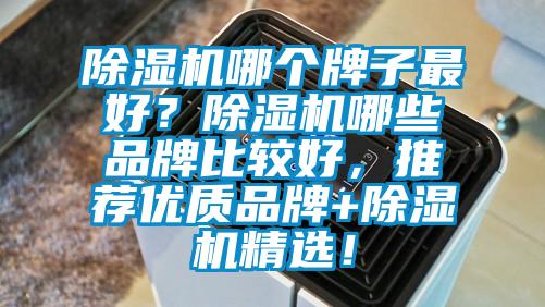 除濕機哪個(gè)牌子最好？除濕機哪些品牌比較好，推薦優(yōu)質(zhì)品牌+除濕機精選！