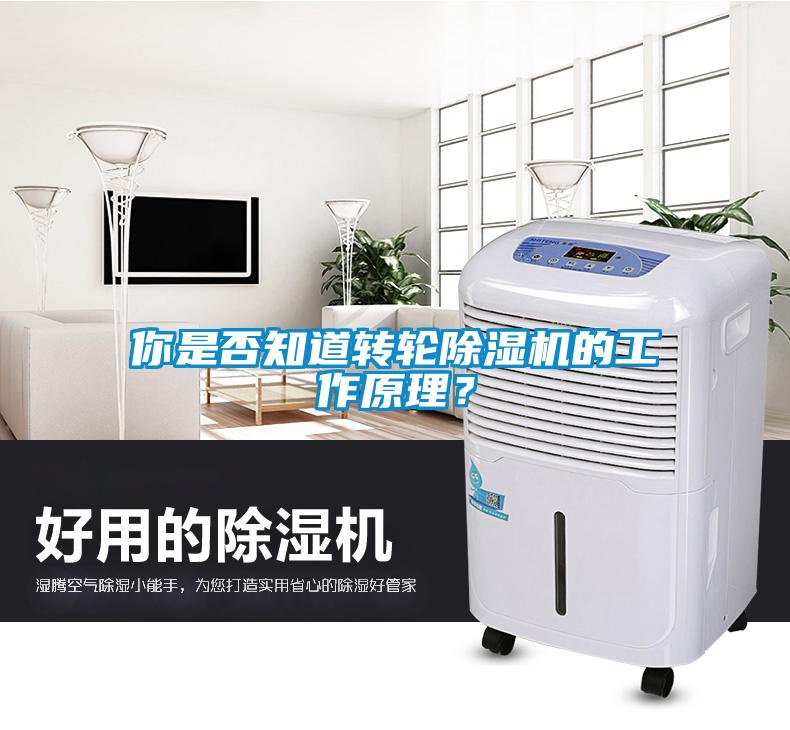 你是否知道轉輪除濕機的工作原理？