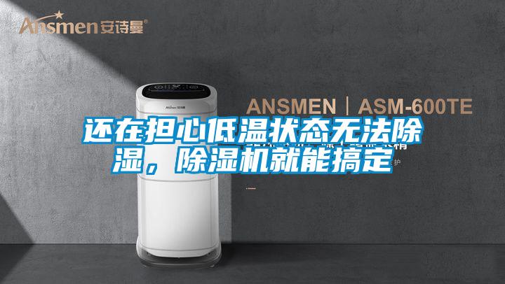 還在擔心低溫狀態(tài)無(wú)法除濕，除濕機就能搞定