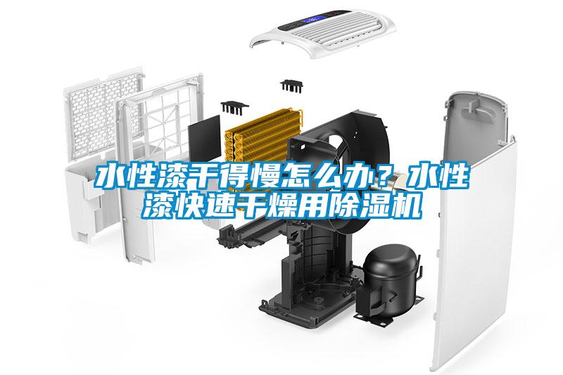 水性漆干得慢怎么辦？水性漆快速干燥用除濕機
