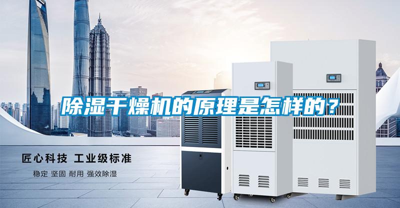 除濕干燥機的原理是怎樣的？
