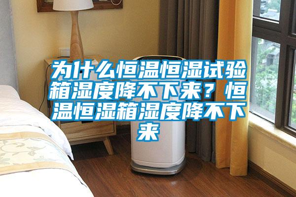 為什么恒溫恒濕試驗箱濕度降不下來(lái)？恒溫恒濕箱濕度降不下來(lái)