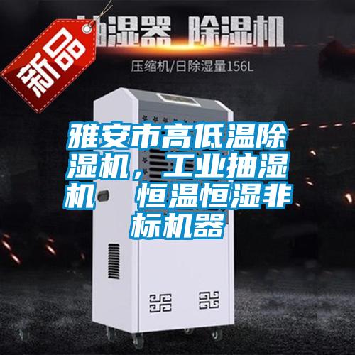 雅安市高低溫除濕機，工業(yè)抽濕機  恒溫恒濕非標機器