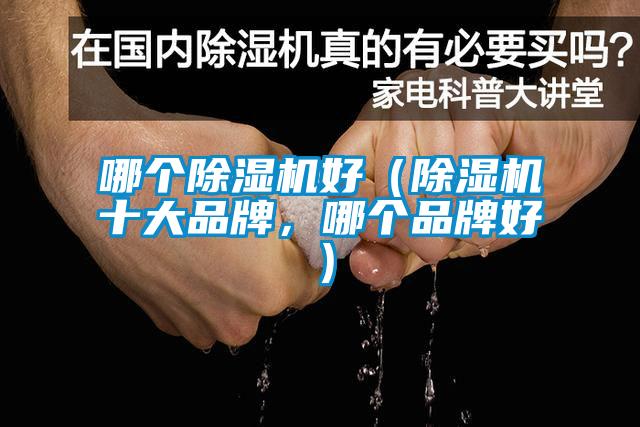 哪個(gè)除濕機好（除濕機十大品牌，哪個(gè)品牌好）