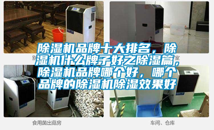除濕機品牌十大排名，除濕機什么牌子好之除濕篇，除濕機品牌哪個(gè)好，哪個(gè)品牌的除濕機除濕效果好