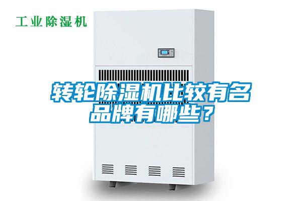轉輪除濕機比較有名品牌有哪些？