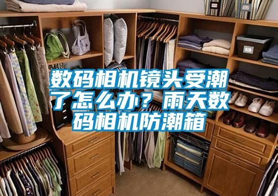 數碼相機鏡頭受潮了怎么辦？雨天數碼相機防潮箱