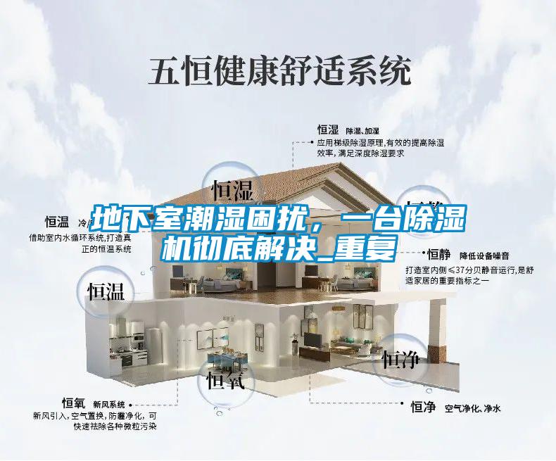 地下室潮濕困擾，一臺除濕機徹底解決_重復