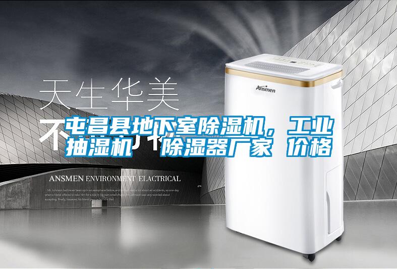 屯昌縣地下室除濕機，工業(yè)抽濕機  除濕器廠(chǎng)家 價(jià)格