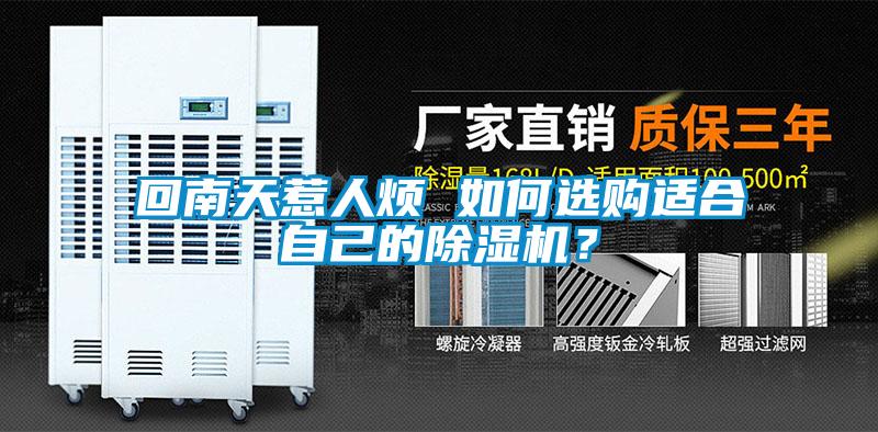回南天惹人煩 如何選購適合自己的除濕機？