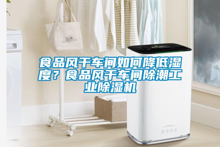 食品風(fēng)干車(chē)間如何降低濕度？食品風(fēng)干車(chē)間除潮工業(yè)除濕機