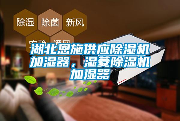 湖北恩施供應除濕機加濕器，濕菱除濕機加濕器
