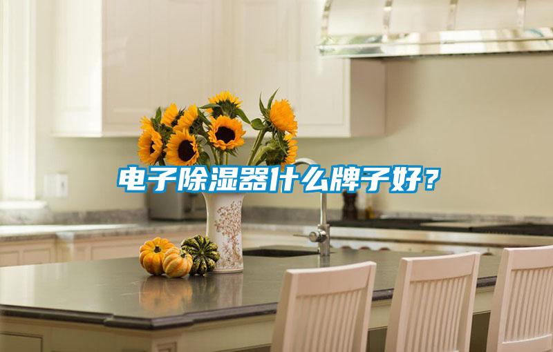 電子除濕器什么牌子好？