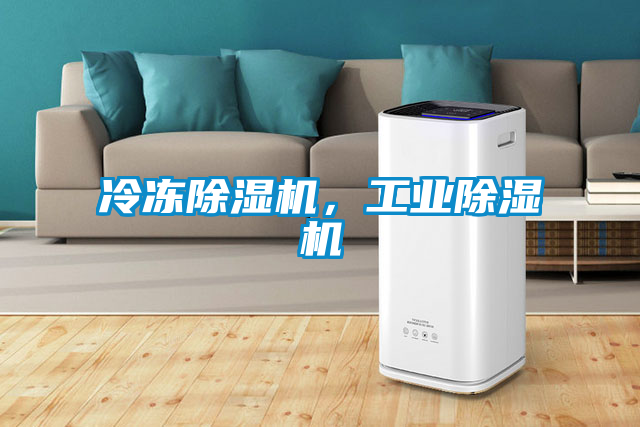 冷凍除濕機，工業(yè)除濕機