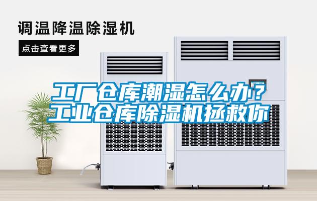工廠(chǎng)倉庫潮濕怎么辦？工業(yè)倉庫除濕機拯救你