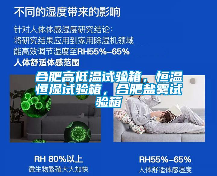 合肥高低溫試驗箱，恒溫恒濕試驗箱，合肥鹽霧試驗箱