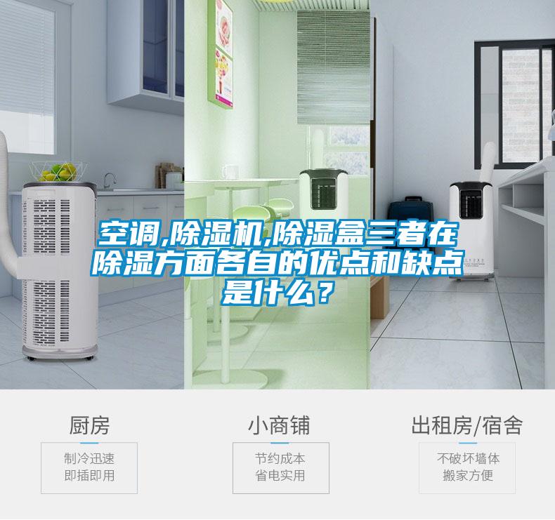 空調,除濕機,除濕盒三者在除濕方面各自的優(yōu)點(diǎn)和缺點(diǎn)是什么？