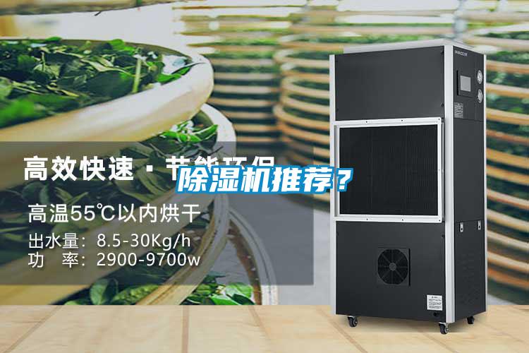 除濕機推薦？