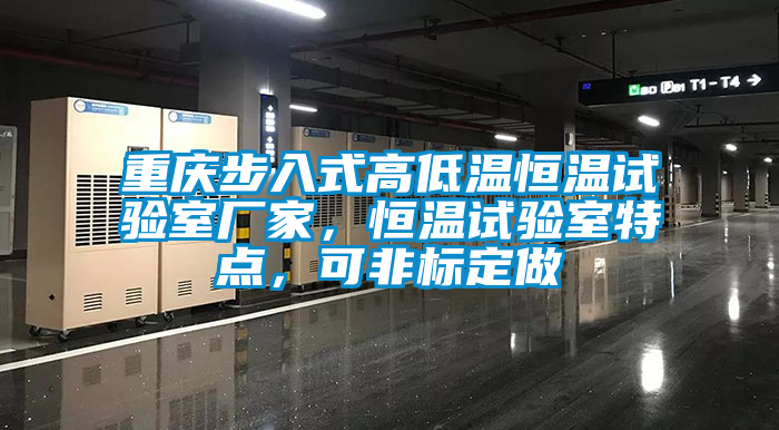 重慶步入式高低溫恒溫試驗室廠(chǎng)家，恒溫試驗室特點(diǎn)，可非標定做