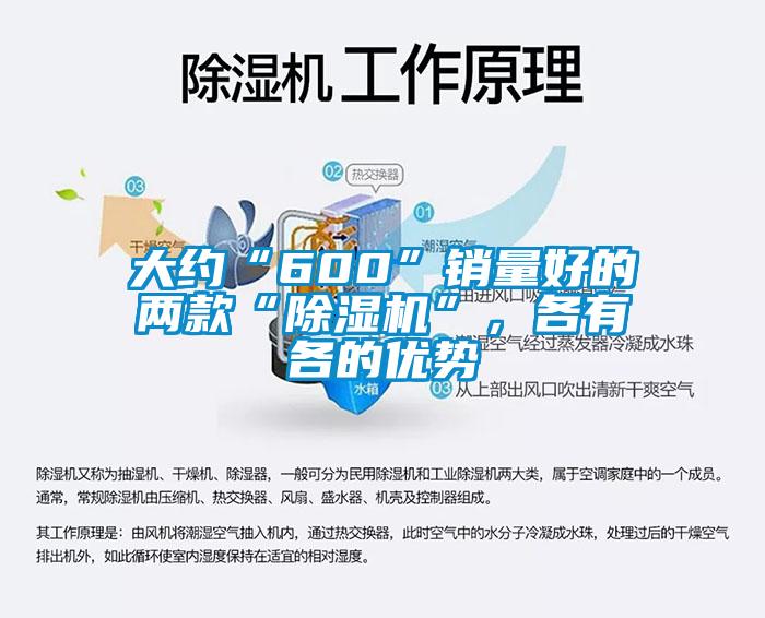大約“600”銷(xiāo)量好的兩款“除濕機”，各有各的優(yōu)勢