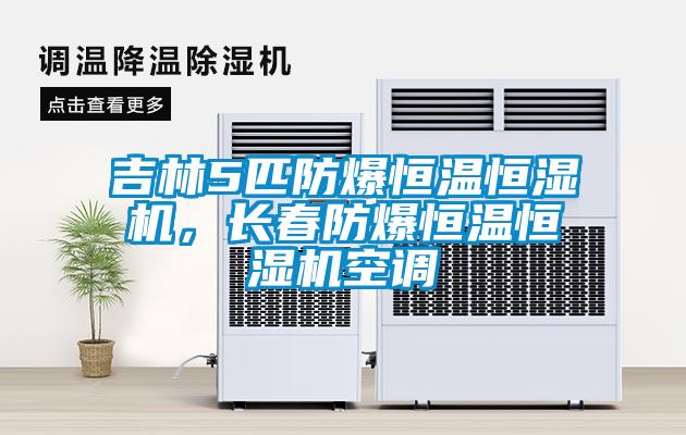 吉林5匹防爆恒溫恒濕機，長(cháng)春防爆恒溫恒濕機空調