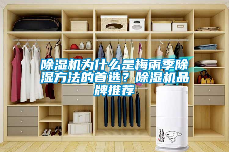 除濕機為什么是梅雨季除濕方法的首選？除濕機品牌推薦