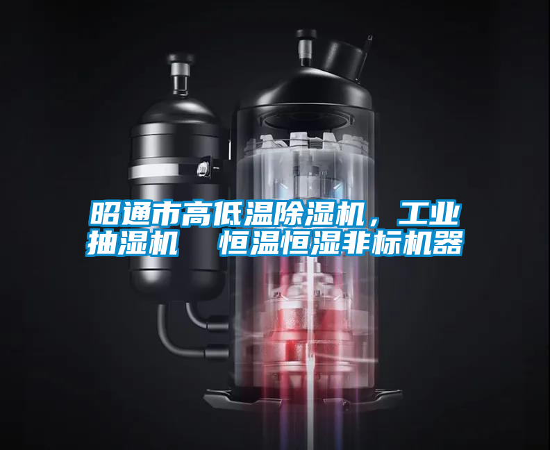 昭通市高低溫除濕機，工業(yè)抽濕機  恒溫恒濕非標機器