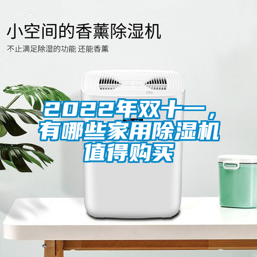 2022年雙十一，有哪些家用除濕機值得購買(mǎi)