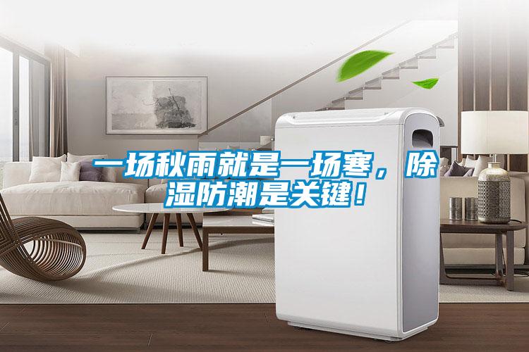 一場(chǎng)秋雨就是一場(chǎng)寒，除濕防潮是關(guān)鍵！