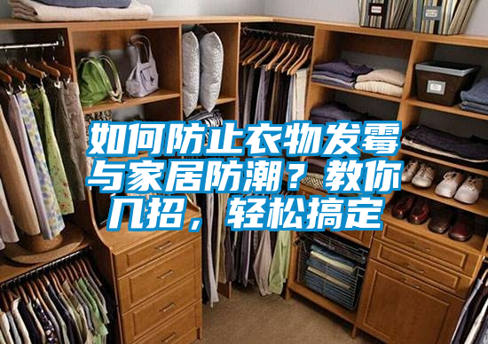 如何防止衣物發(fā)霉與家居防潮？教你幾招，輕松搞定