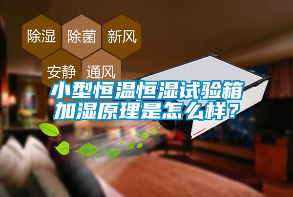小型恒溫恒濕試驗箱加濕原理是怎么樣？