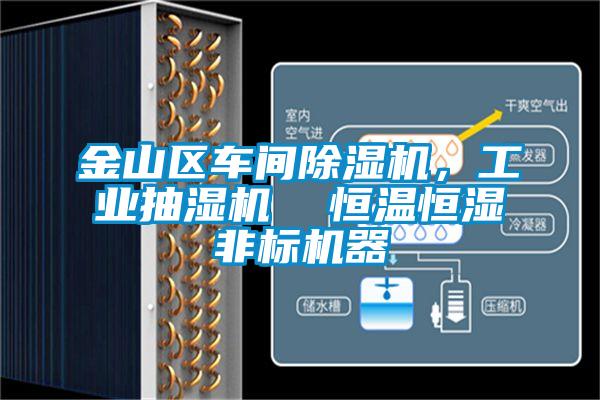 金山區車(chē)間除濕機，工業(yè)抽濕機  恒溫恒濕非標機器