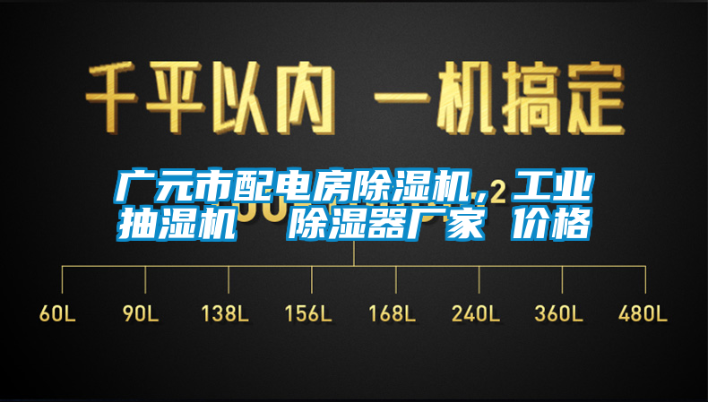 廣元市配電房除濕機，工業(yè)抽濕機  除濕器廠(chǎng)家 價(jià)格