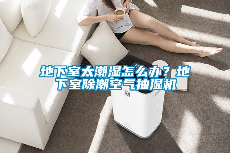 地下室太潮濕怎么辦？地下室除潮空氣抽濕機