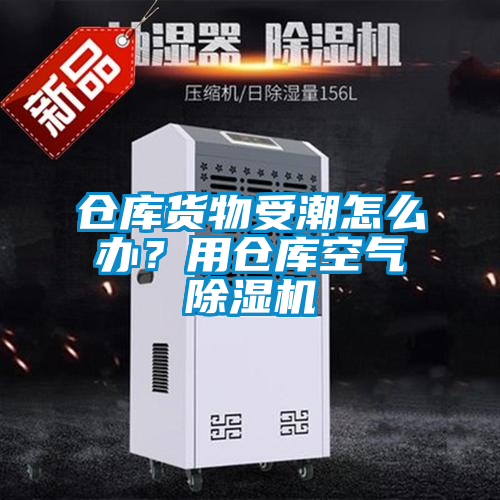 倉庫貨物受潮怎么辦？用倉庫空氣除濕機
