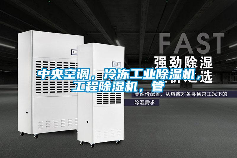 中央空調，冷凍工業(yè)除濕機，工程除濕機，管