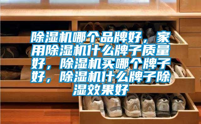 除濕機哪個(gè)品牌好，家用除濕機什么牌子質(zhì)量好，除濕機買(mǎi)哪個(gè)牌子好，除濕機什么牌子除濕效果好