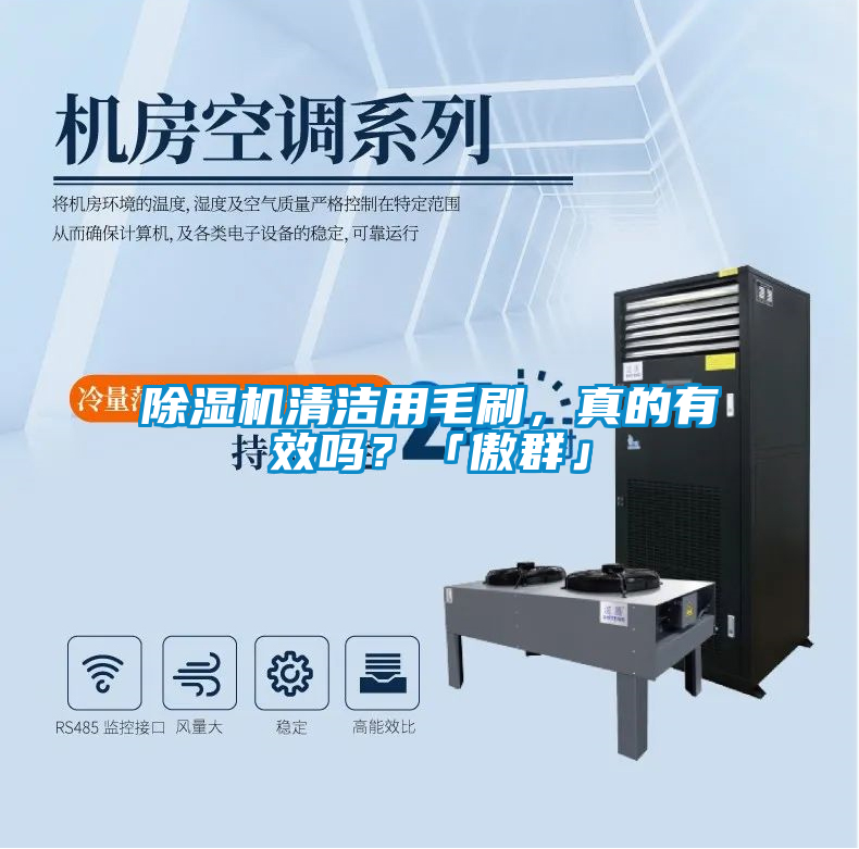 除濕機清潔用毛刷，真的有效嗎？「傲群」