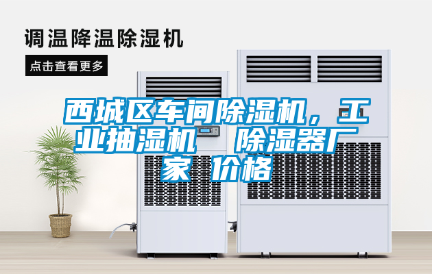 西城區車(chē)間除濕機，工業(yè)抽濕機  除濕器廠(chǎng)家 價(jià)格