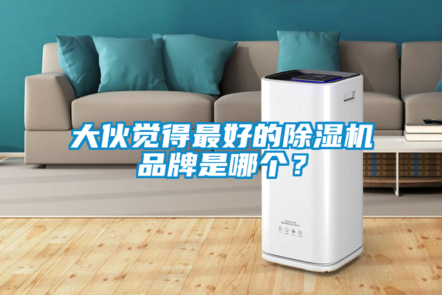 大伙覺(jué)得最好的除濕機品牌是哪個(gè)？