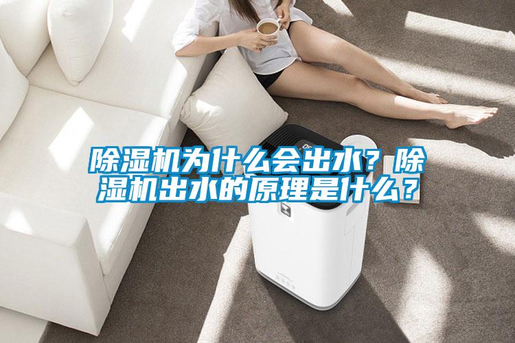 除濕機為什么會(huì )出水？除濕機出水的原理是什么？