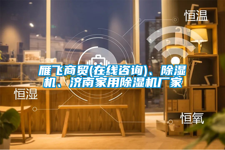 雁飛商貿(在線(xiàn)咨詢(xún))、除濕機、濟南家用除濕機廠(chǎng)家