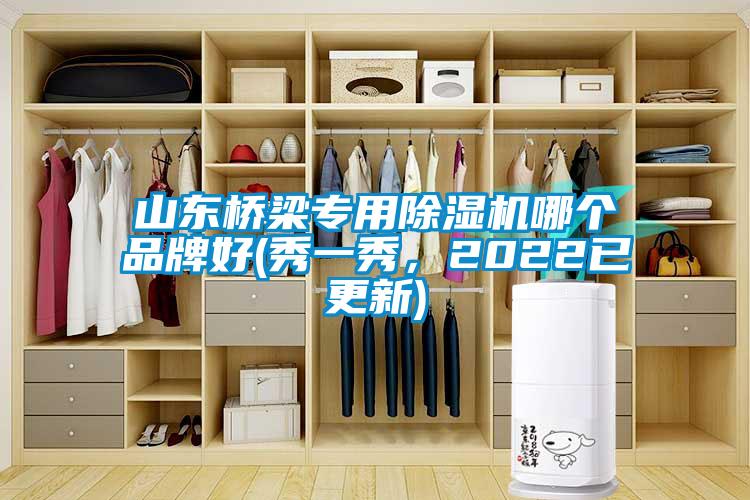 山東橋梁專(zhuān)用除濕機哪個(gè)品牌好(秀一秀，2022已更新)
