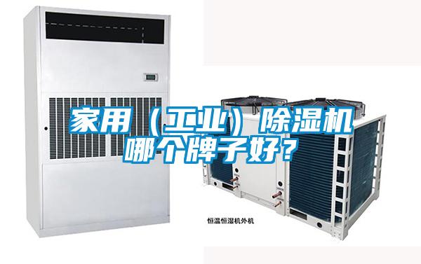 家用（工業(yè)）除濕機哪個(gè)牌子好？
