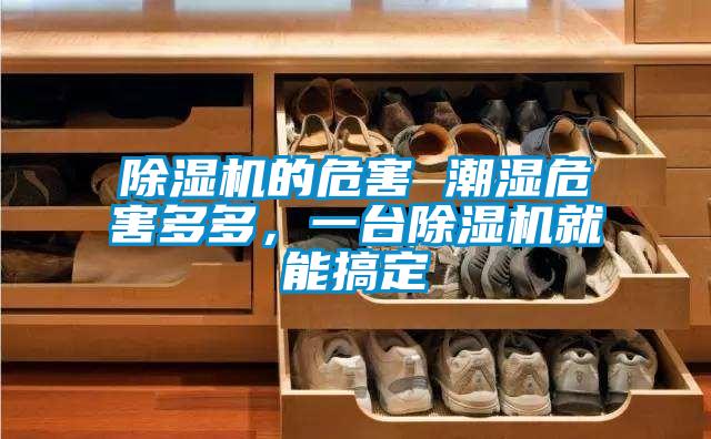 除濕機的危害 潮濕危害多多，一臺除濕機就能搞定
