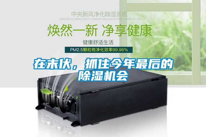 在末伏，抓住今年最后的除濕機會(huì )