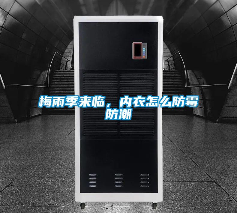 梅雨季來(lái)臨，內衣怎么防霉防潮