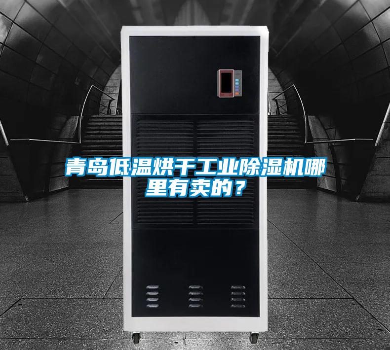 青島低溫烘干工業(yè)除濕機哪里有賣(mài)的？