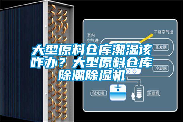 大型原料倉庫潮濕該咋辦？大型原料倉庫除潮除濕機