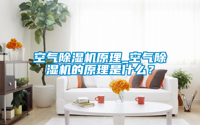 空氣除濕機原理_空氣除濕機的原理是什么？
